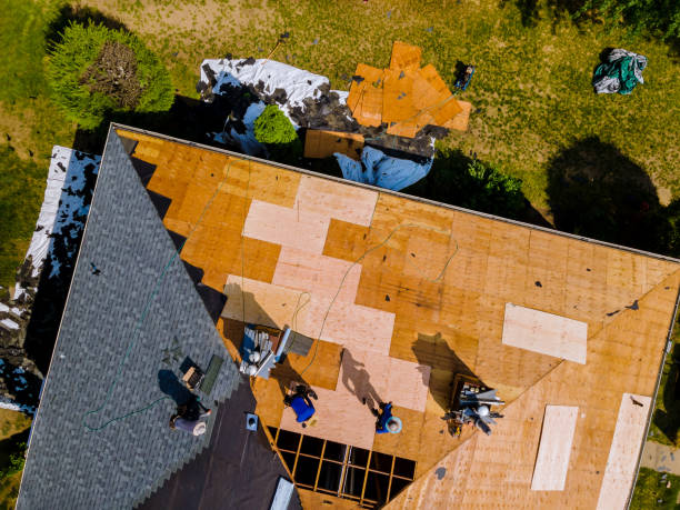 Quick and Trustworthy Emergency Roof Repair Services in La Marque, TX