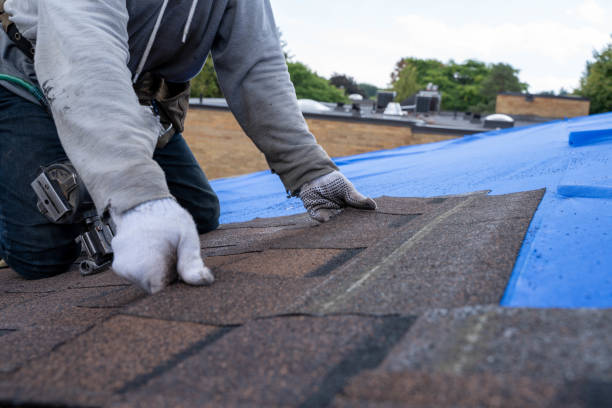 Best Residential Roofing Contractor  in La Marque, TX