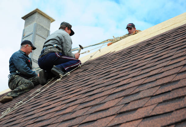 Best Roof Replacement Cost  in La Marque, TX